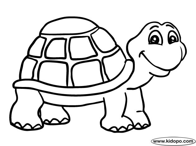 TheTalkativeTortoise