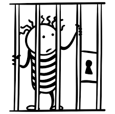 prisoner